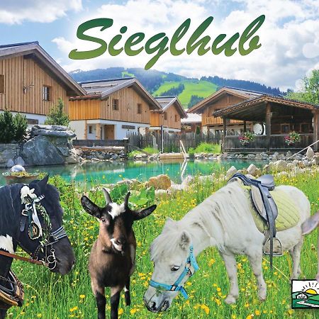 Sieglhub Chalets - Appartements - Hotel Flachau Exteriör bild