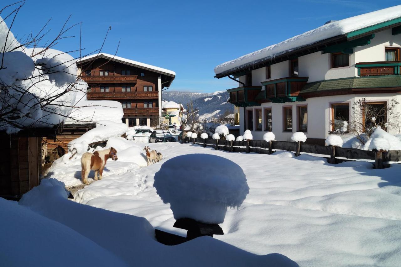Sieglhub Chalets - Appartements - Hotel Flachau Exteriör bild